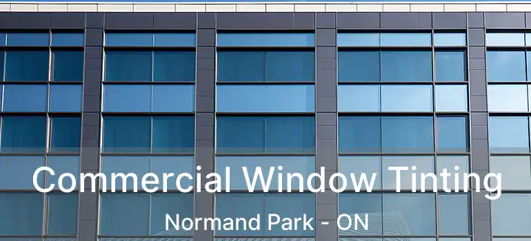  Commercial Window Tinting Normand Park - ON