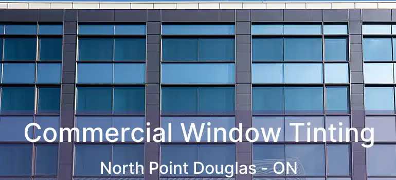 Commercial Window Tinting North Point Douglas - ON