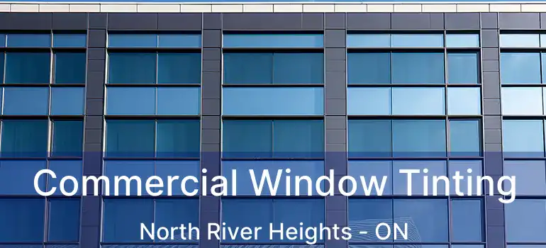  Commercial Window Tinting North River Heights - ON