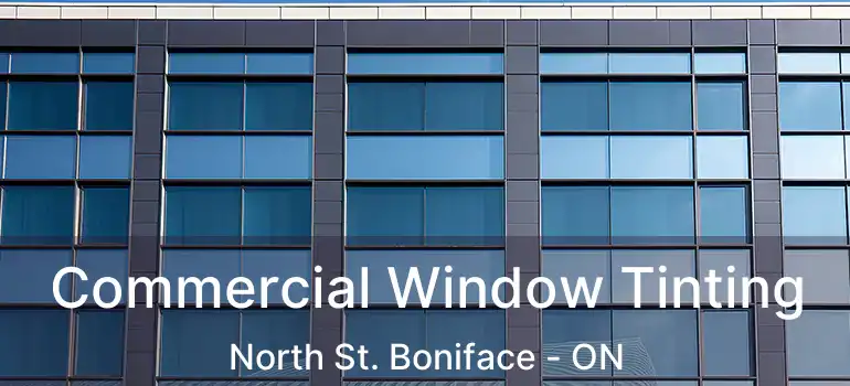  Commercial Window Tinting North St. Boniface - ON