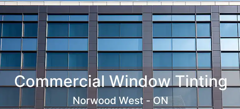  Commercial Window Tinting Norwood West - ON