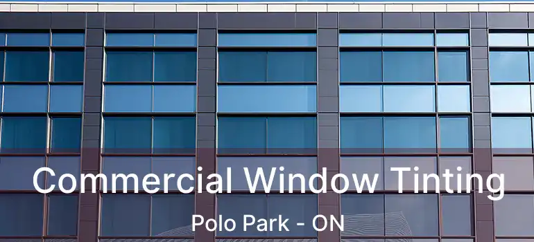  Commercial Window Tinting Polo Park - ON