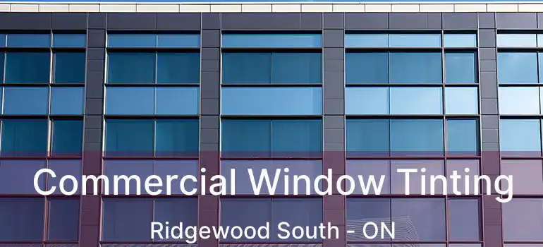  Commercial Window Tinting Ridgewood South - ON