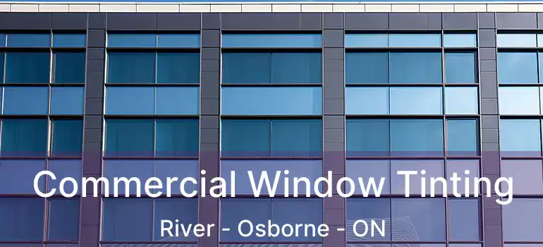  Commercial Window Tinting River - Osborne - ON