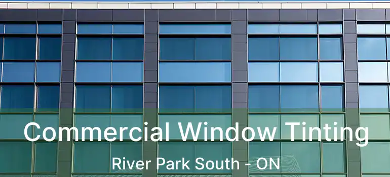  Commercial Window Tinting River Park South - ON