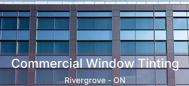  Commercial Window Tinting Rivergrove - ON