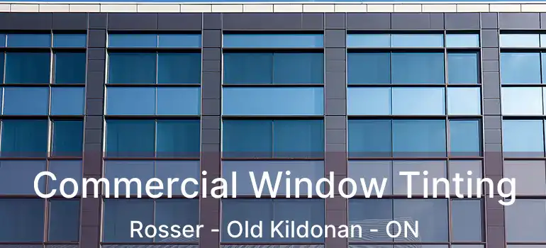  Commercial Window Tinting Rosser - Old Kildonan - ON