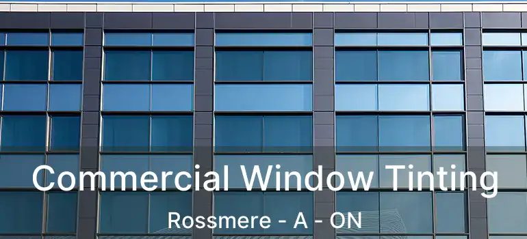  Commercial Window Tinting Rossmere - A - ON