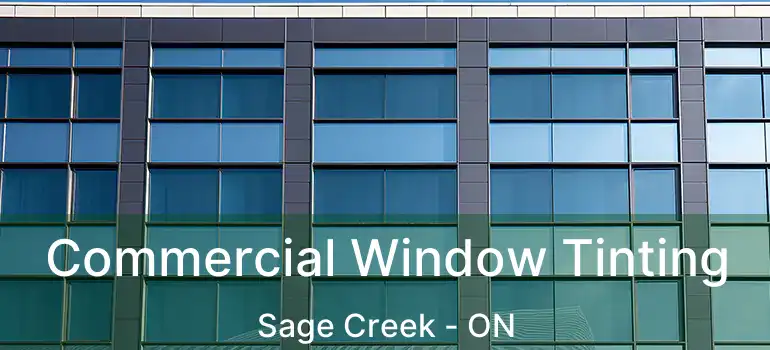  Commercial Window Tinting Sage Creek - ON