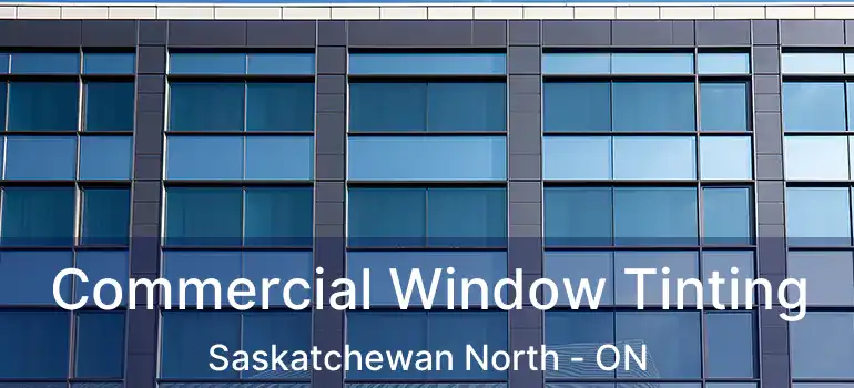  Commercial Window Tinting Saskatchewan North - ON