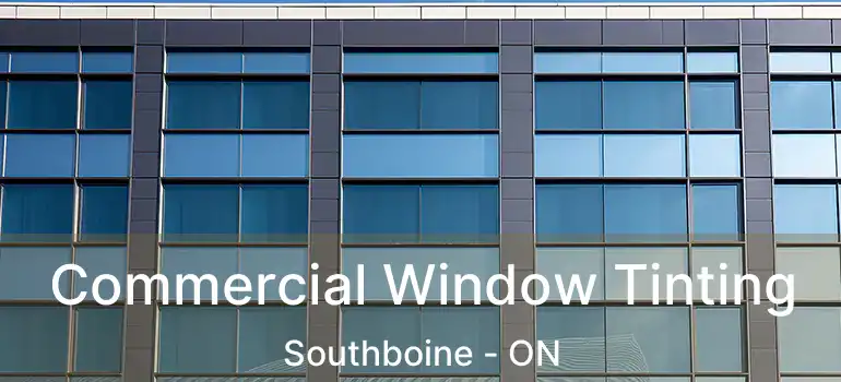  Commercial Window Tinting Southboine - ON