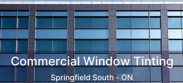  Commercial Window Tinting Springfield South - ON