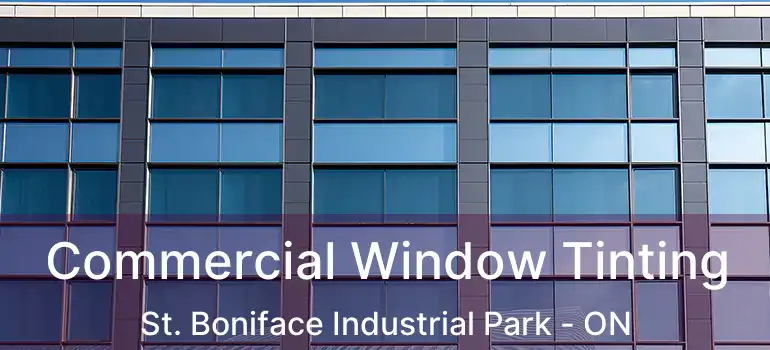  Commercial Window Tinting St. Boniface Industrial Park - ON