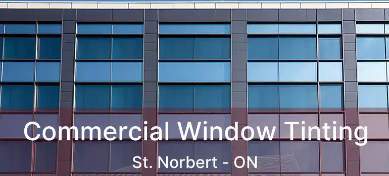  Commercial Window Tinting St. Norbert - ON