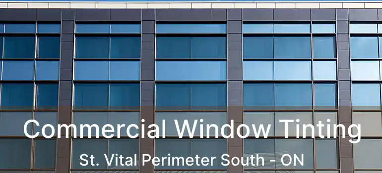  Commercial Window Tinting St. Vital Perimeter South - ON
