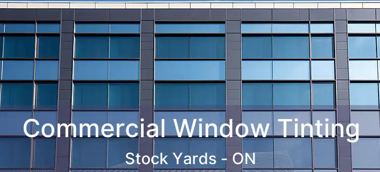  Commercial Window Tinting Stock Yards - ON