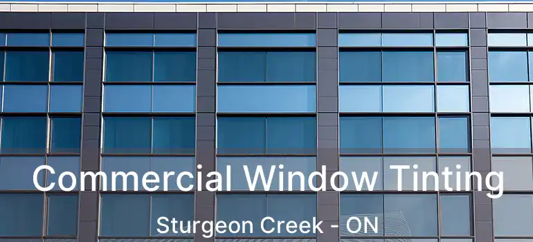  Commercial Window Tinting Sturgeon Creek - ON