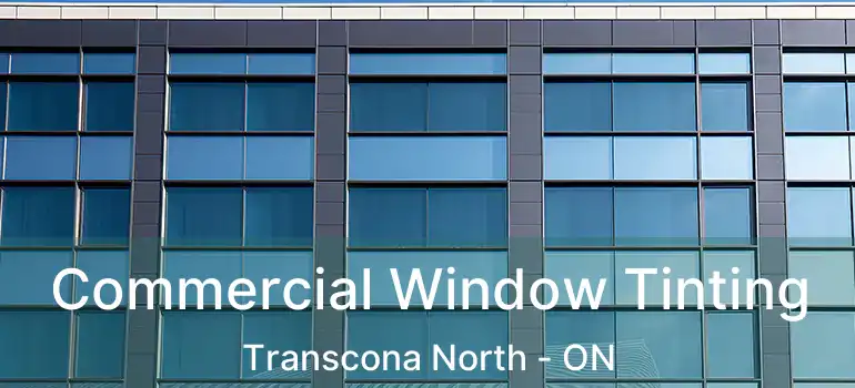  Commercial Window Tinting Transcona North - ON