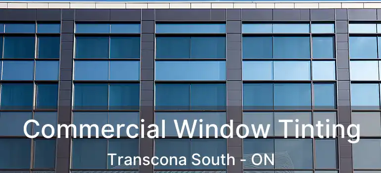  Commercial Window Tinting Transcona South - ON