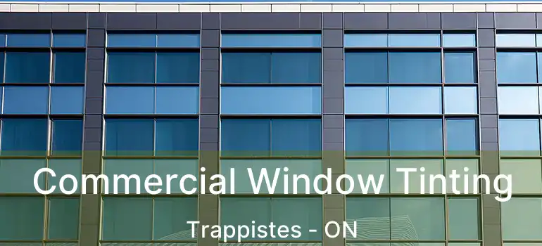  Commercial Window Tinting Trappistes - ON