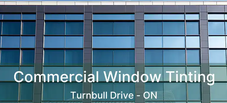  Commercial Window Tinting Turnbull Drive - ON