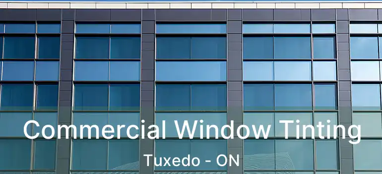  Commercial Window Tinting Tuxedo - ON