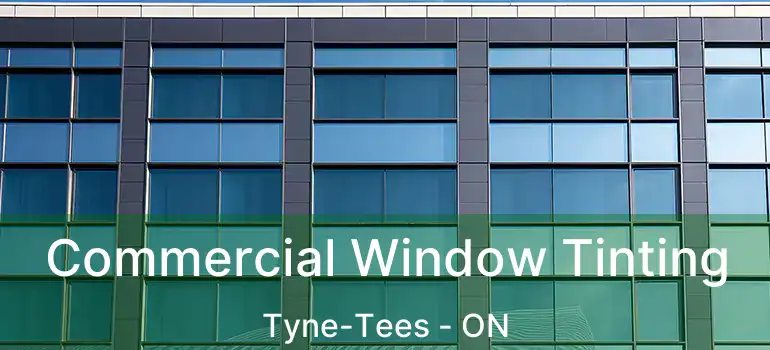  Commercial Window Tinting Tyne-Tees - ON