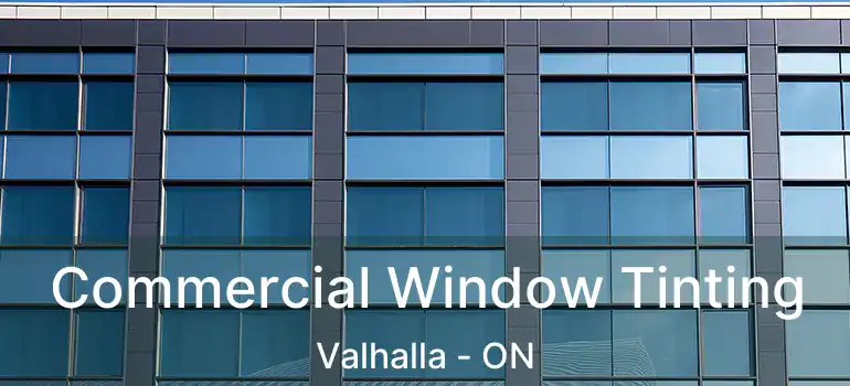  Commercial Window Tinting Valhalla - ON