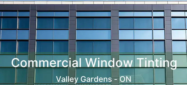  Commercial Window Tinting Valley Gardens - ON