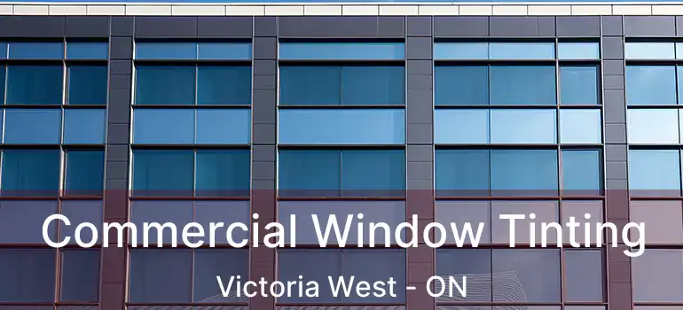  Commercial Window Tinting Victoria West - ON