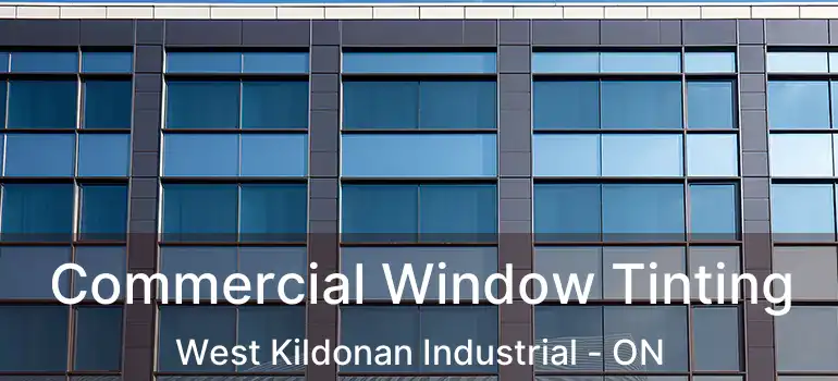  Commercial Window Tinting West Kildonan Industrial - ON