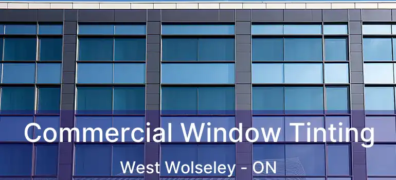  Commercial Window Tinting West Wolseley - ON