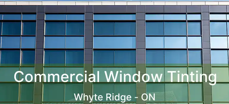  Commercial Window Tinting Whyte Ridge - ON