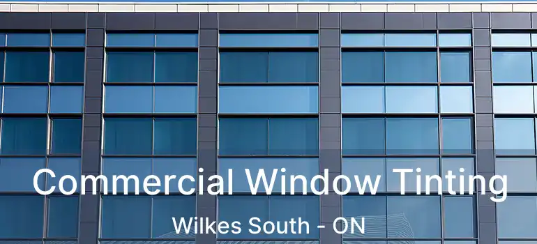  Commercial Window Tinting Wilkes South - ON
