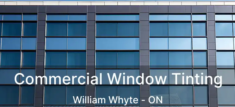  Commercial Window Tinting William Whyte - ON