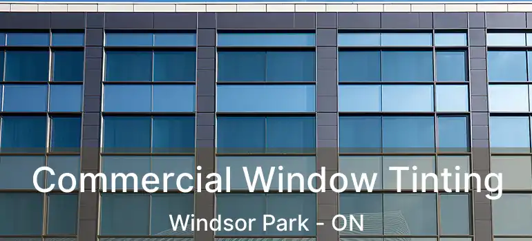  Commercial Window Tinting Windsor Park - ON
