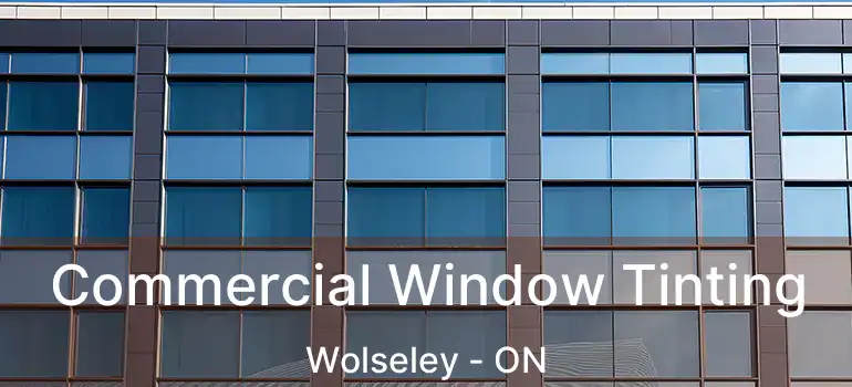  Commercial Window Tinting Wolseley - ON