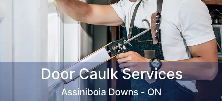  Door Caulk Services Assiniboia Downs - ON