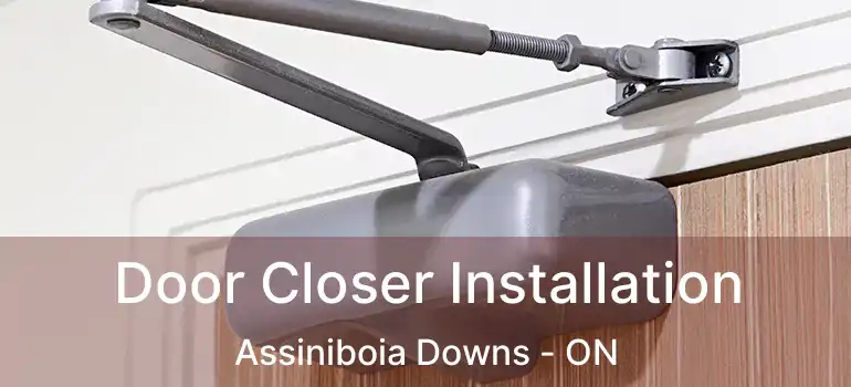  Door Closer Installation Assiniboia Downs - ON
