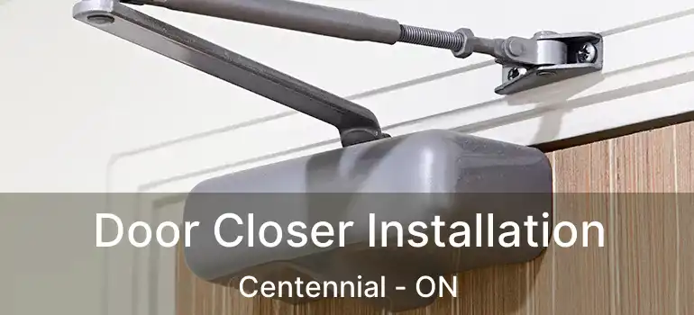  Door Closer Installation Centennial - ON