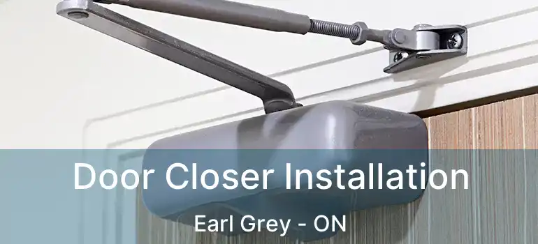 Door Closer Installation Earl Grey - ON