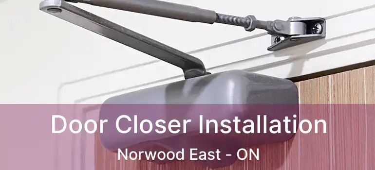  Door Closer Installation Norwood East - ON