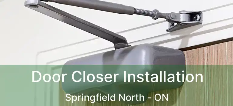  Door Closer Installation Springfield North - ON
