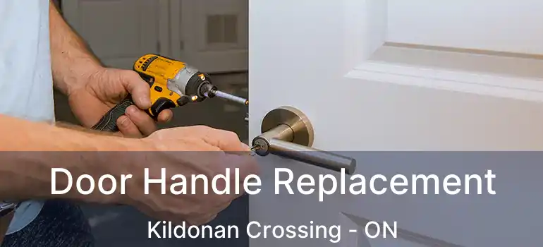  Door Handle Replacement Kildonan Crossing - ON