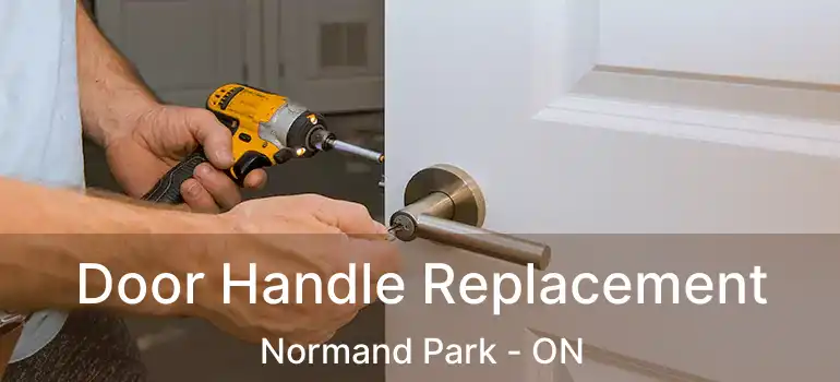  Door Handle Replacement Normand Park - ON