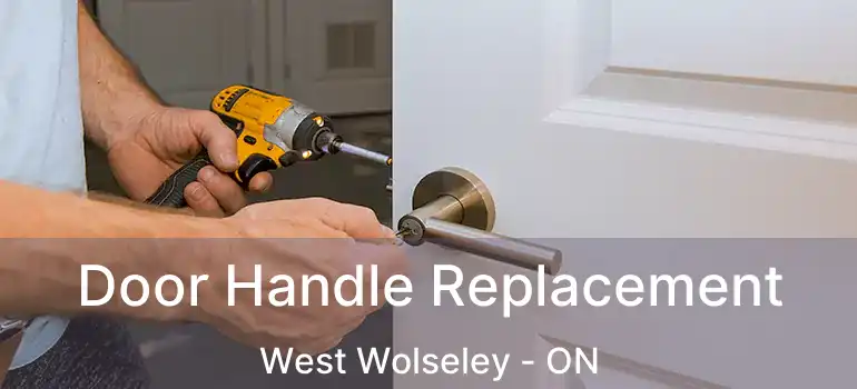  Door Handle Replacement West Wolseley - ON
