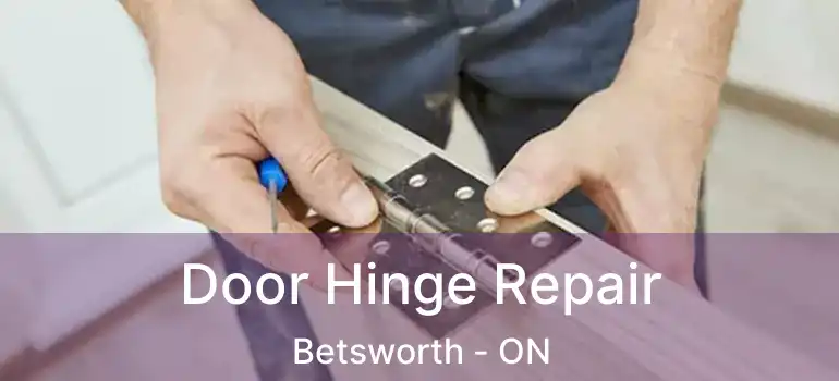  Door Hinge Repair Betsworth - ON
