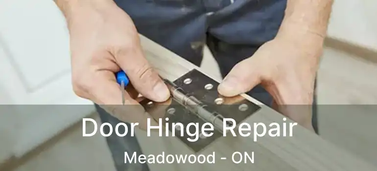  Door Hinge Repair Meadowood - ON