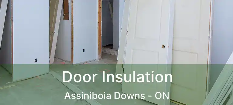  Door Insulation Assiniboia Downs - ON