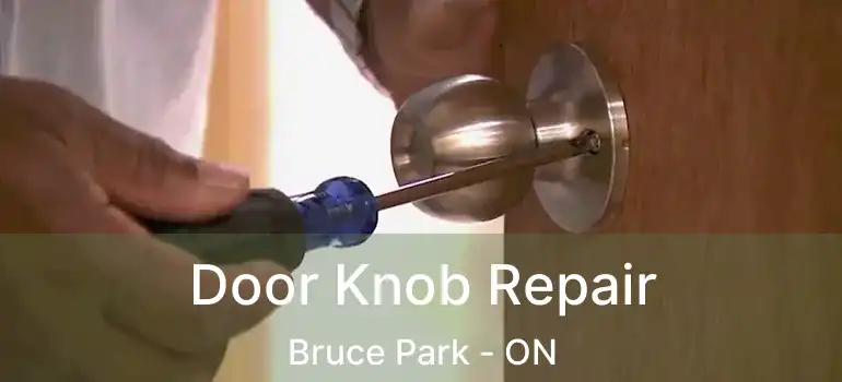  Door Knob Repair Bruce Park - ON